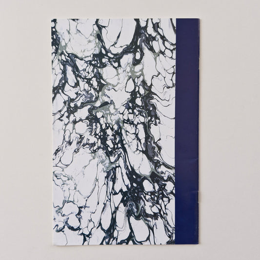 Turtle Soup #1 2nd Series VF Mirage Studios