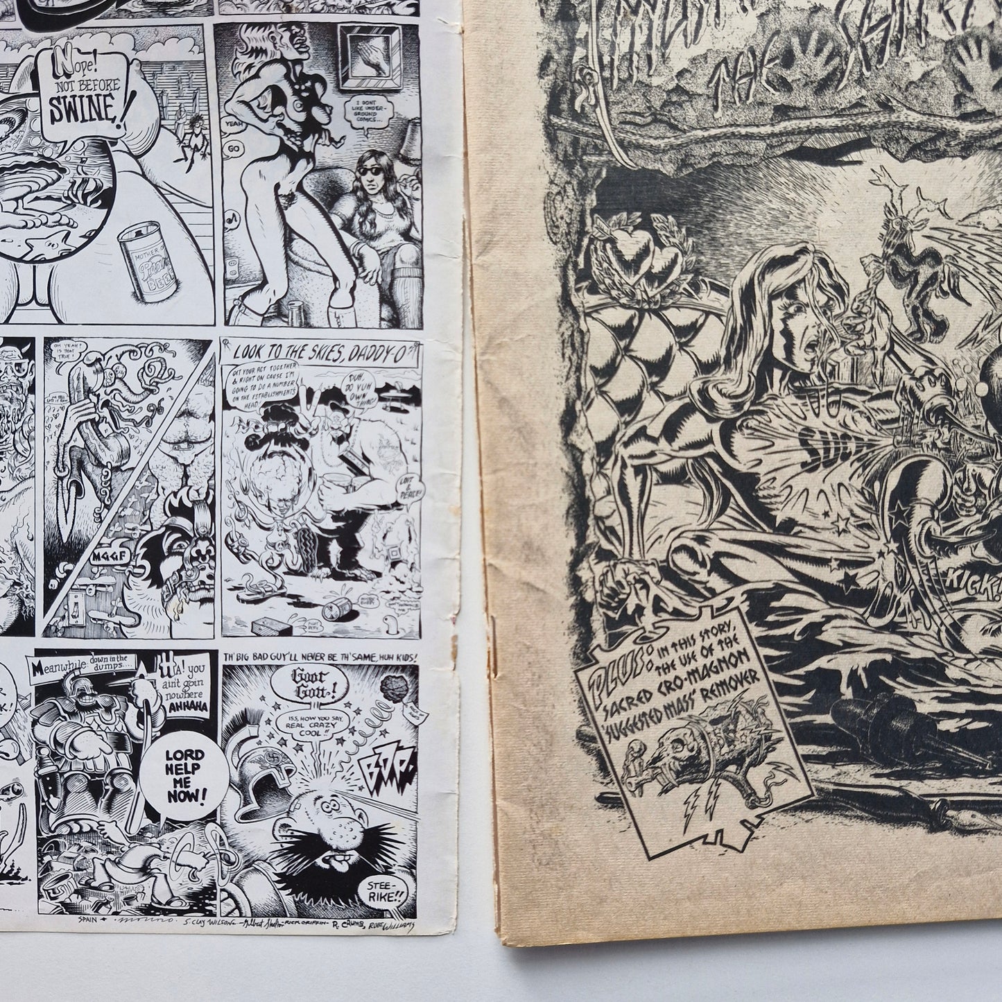 Zap Comics #6 1973 G 1st Printing
