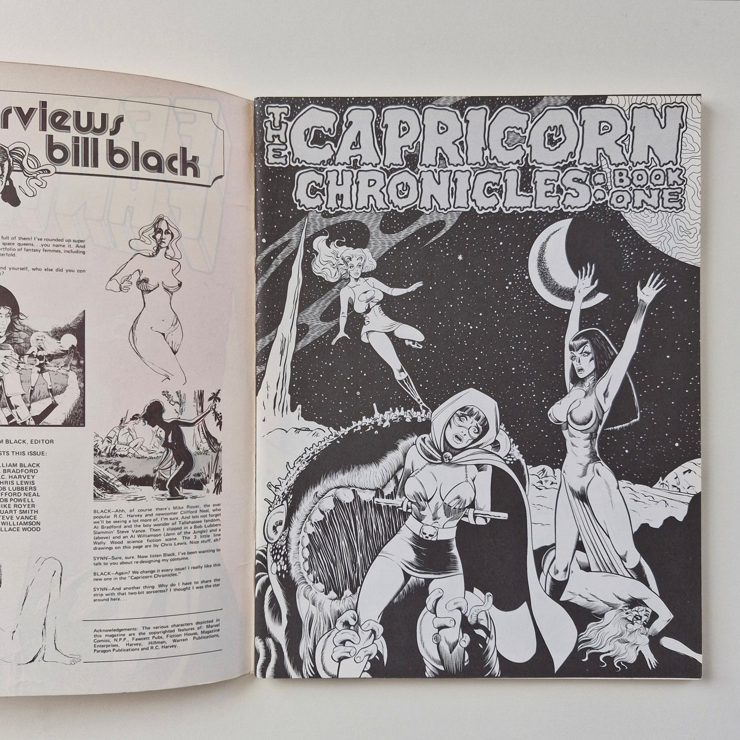Fem Fantastique #2 1975 FN Bill Black Art Paragon Publications