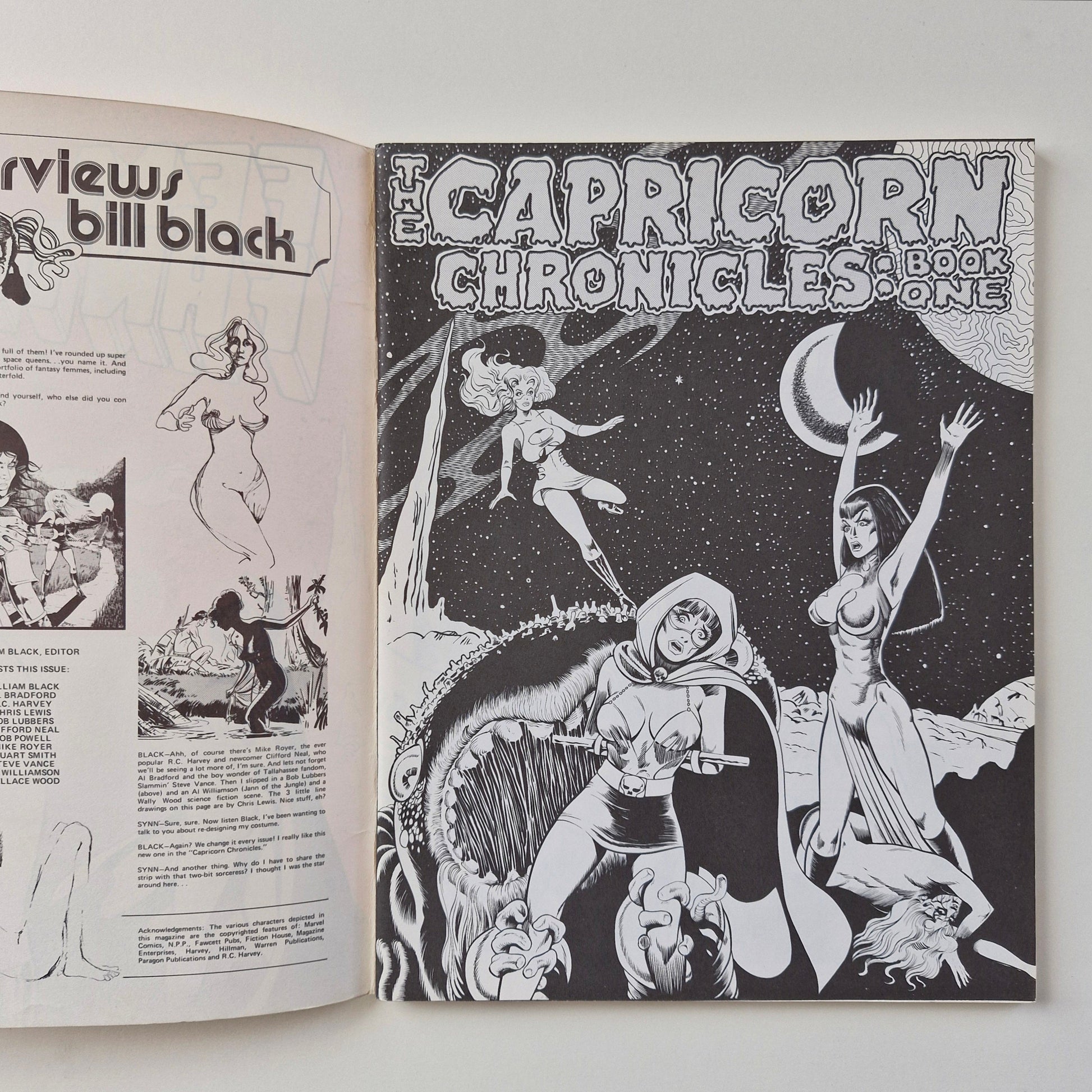 Fem Fantastique #2 1975 FN Bill Black Art Paragon Publications