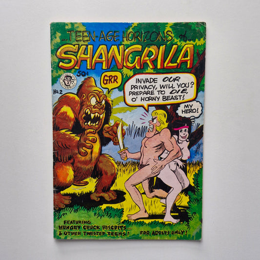 Teen-Age Horizons of Shangrila #2 1972 VG 1st Printing