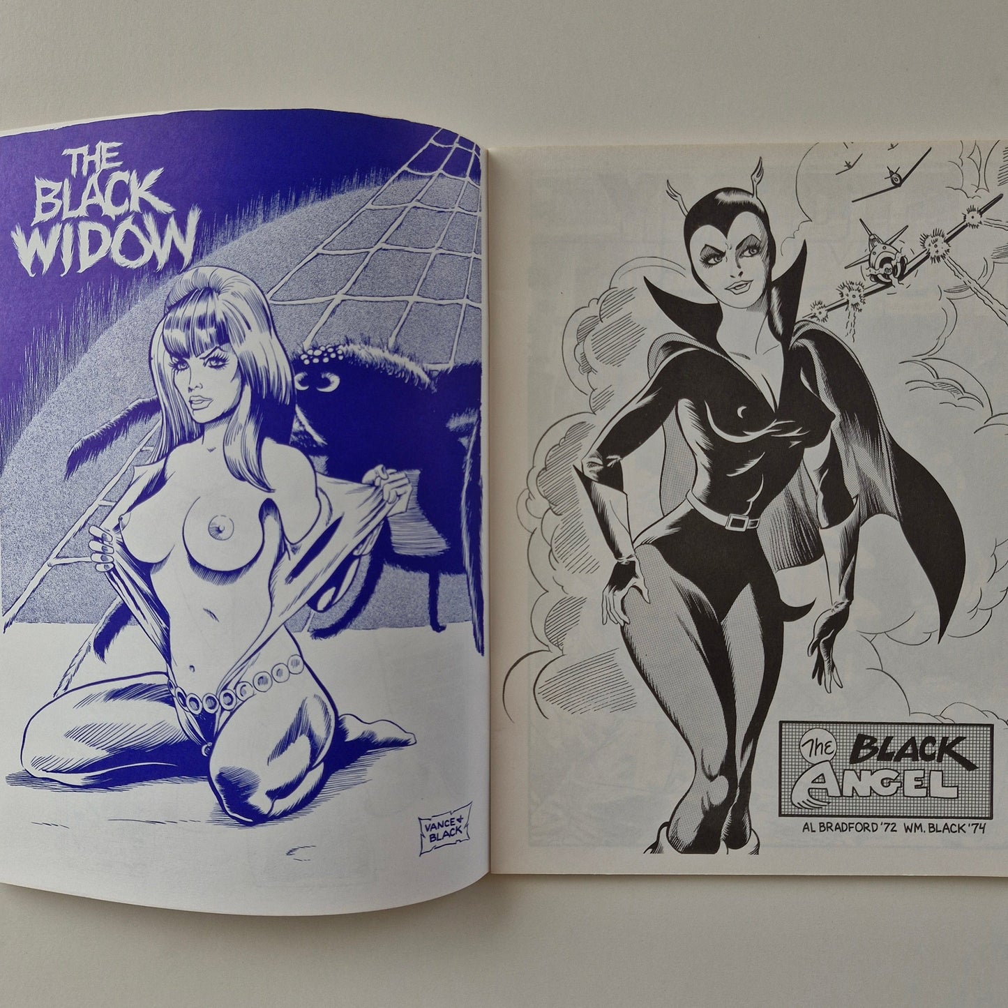 Fem Fantastique #2 1975 FN Bill Black Art Paragon Publications