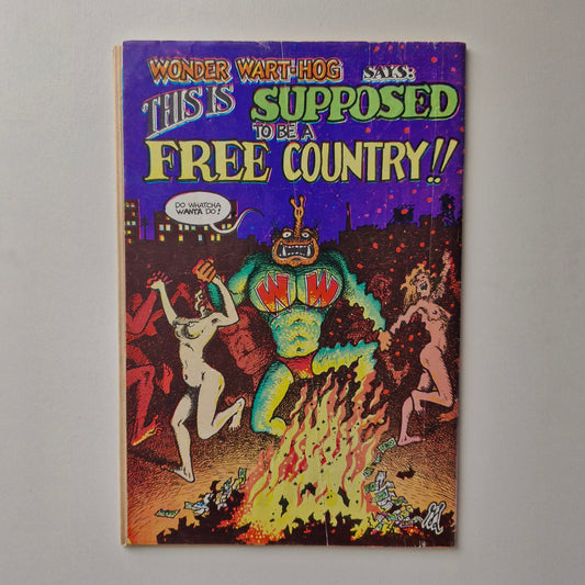 Hydrogen Bomb Funnies #1 1970 VG/FN 1st Printing