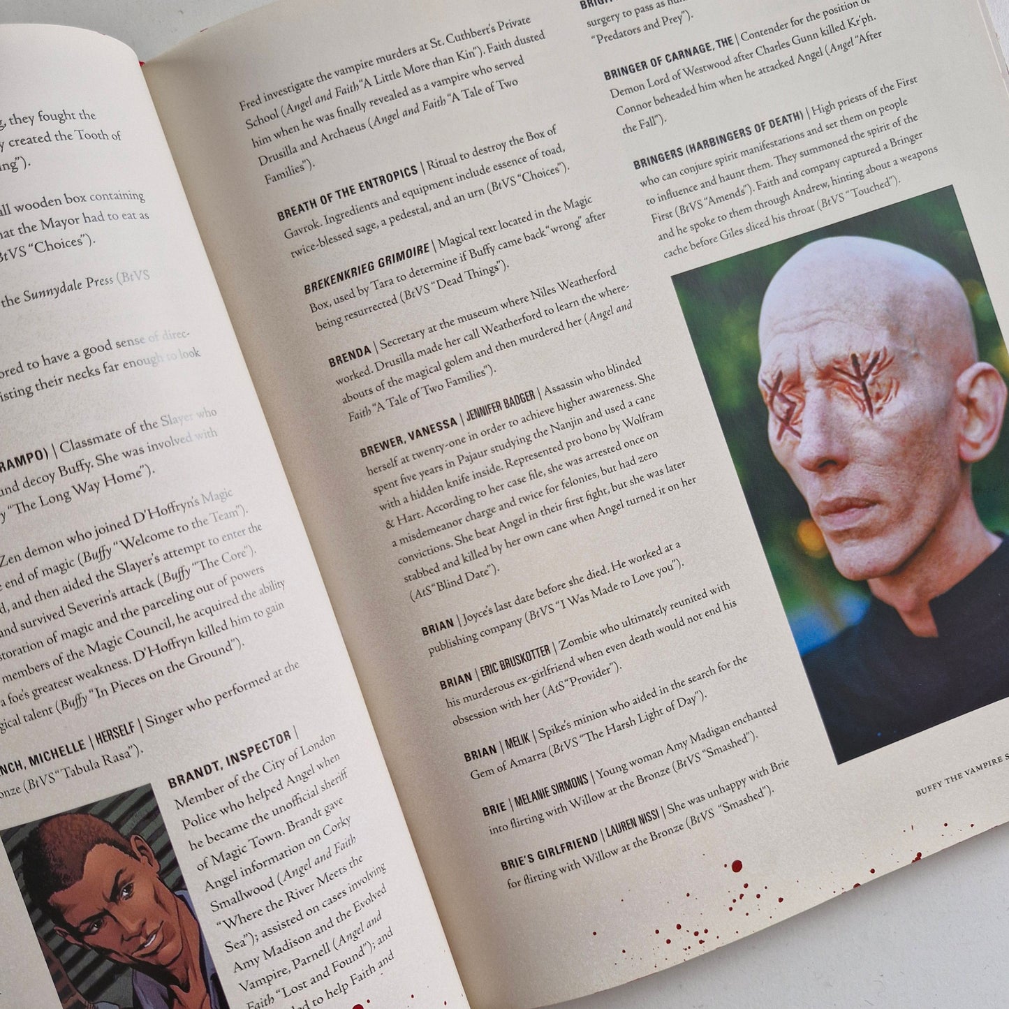 Buffy the Vampire Slayer Encyclopedia: The Ultimate Guide to the Buffyverse #1 2017