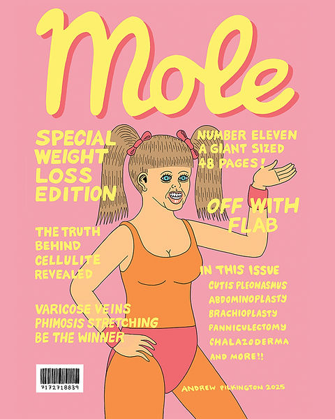 Mole #11 2025 Local Artist Andrew Pinkerton