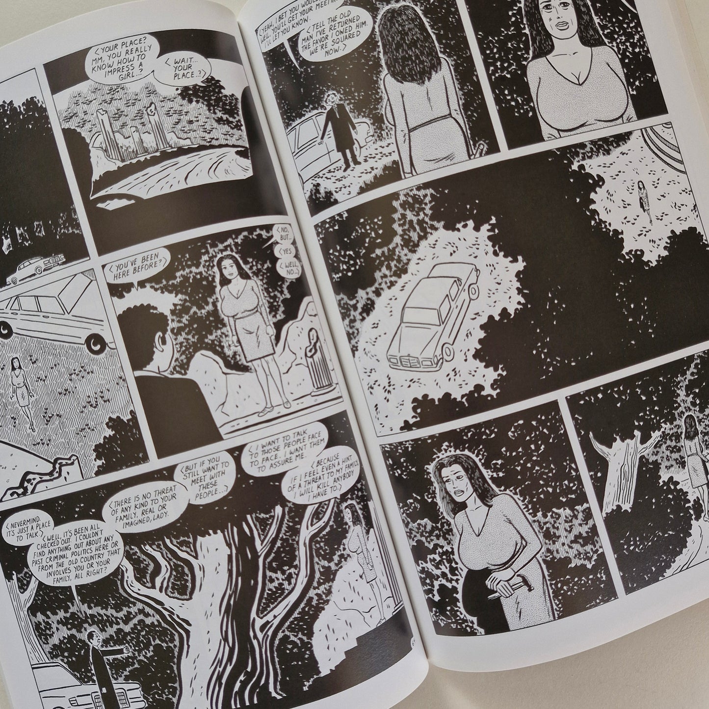 Luba in America #1 2001 TPB A Love and Rockets Collection